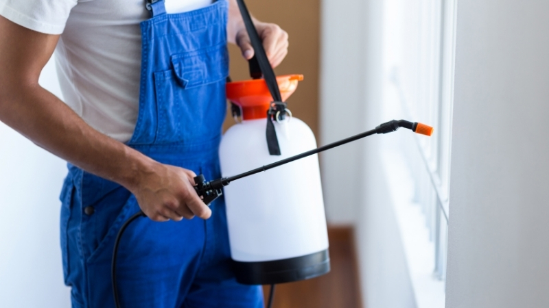 Pest control worker with sprayer treating a Sydney home