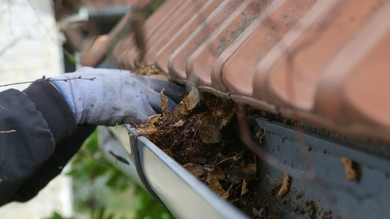 Gloved hands clearing leaves and debris from blocked gutters