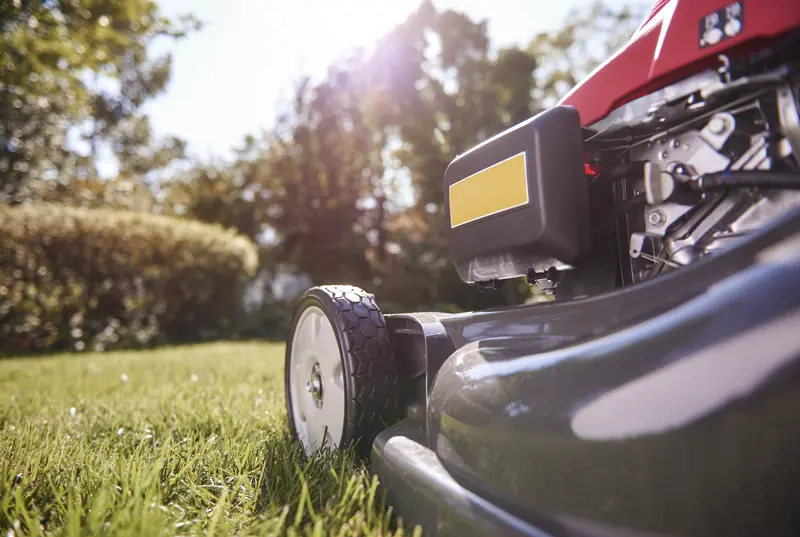 Lawn care and gardening service